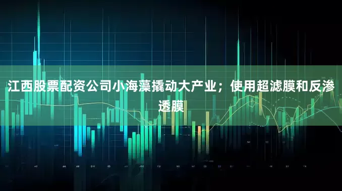 江西股票配资公司小海藻撬动大产业；使用超滤膜和反渗透膜