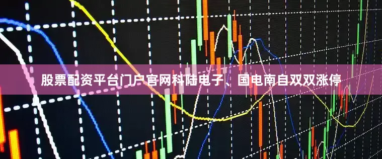 股票配资平台门户官网科陆电子、国电南自双双涨停
