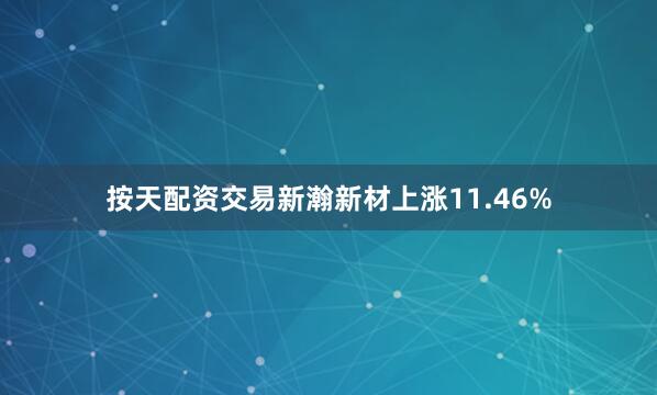 按天配资交易新瀚新材上涨11.46%