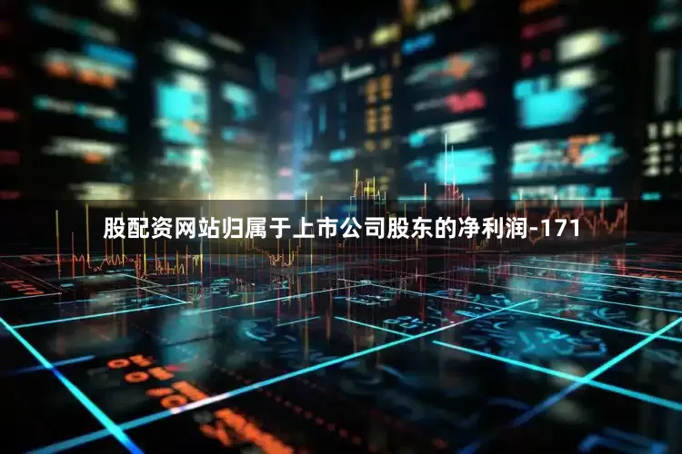 股配资网站归属于上市公司股东的净利润-171