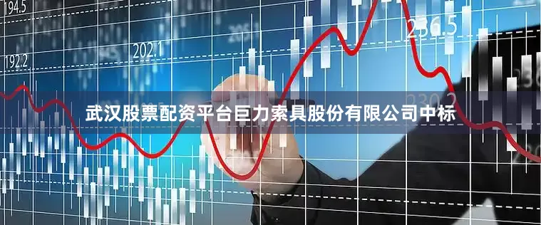 武汉股票配资平台巨力索具股份有限公司中标